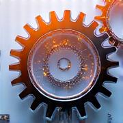 Graphic showing interlocking gears with scientific symbols, representing evidence-based algorithms.